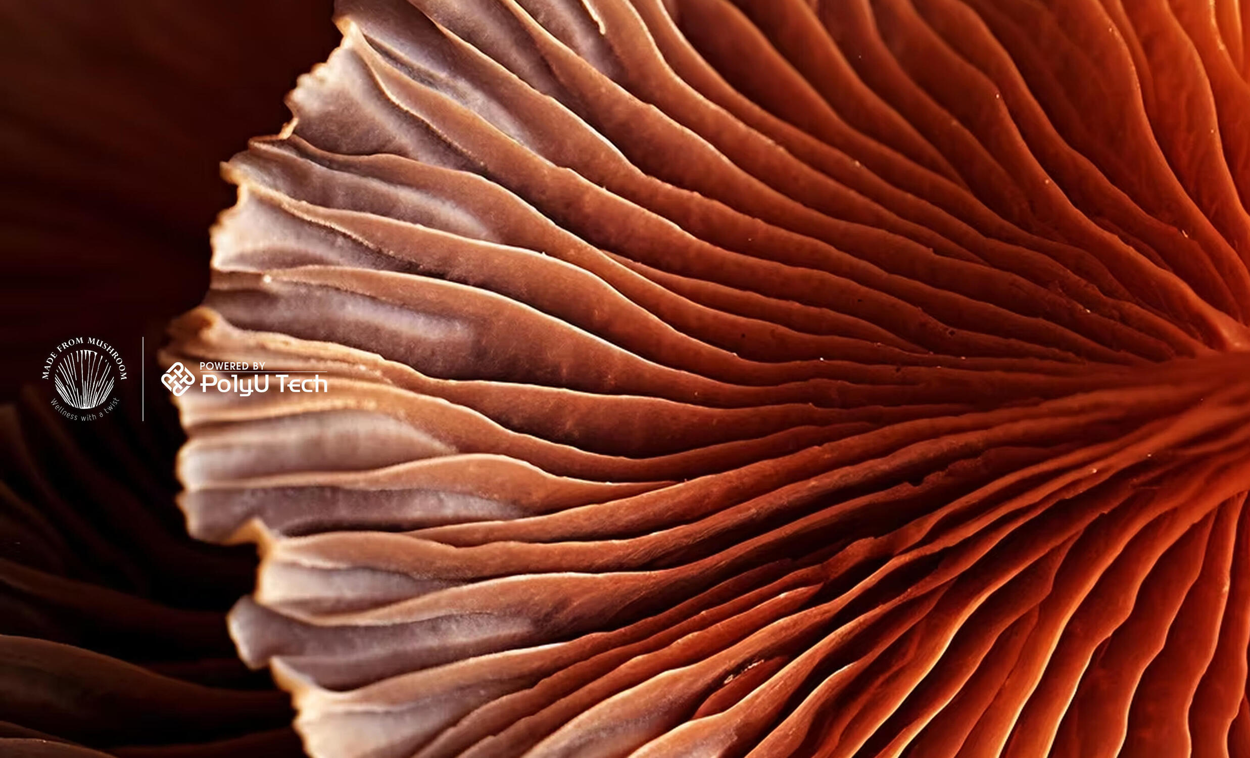 Made From Mushroom